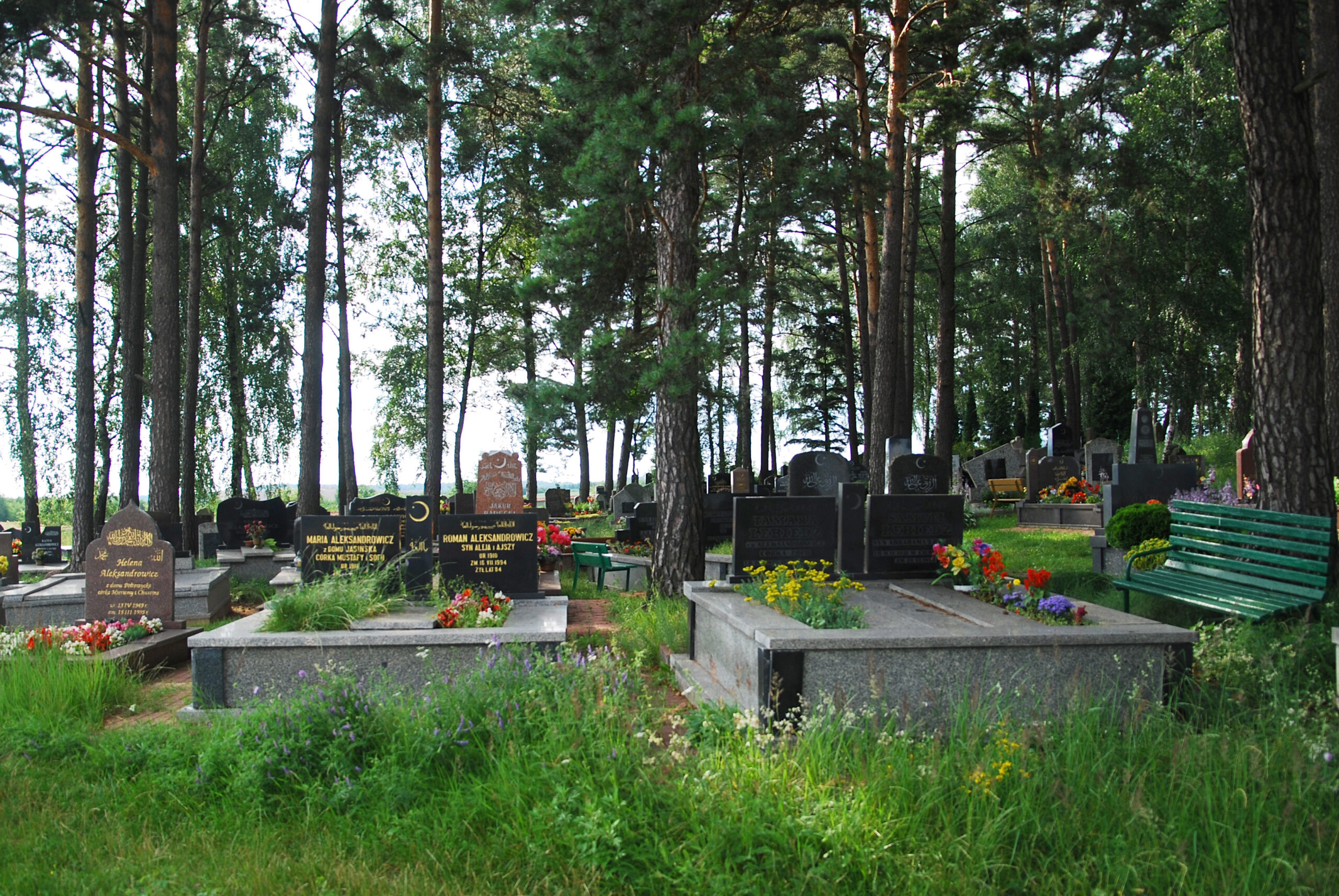 Widok na liczne groby wśród drzew